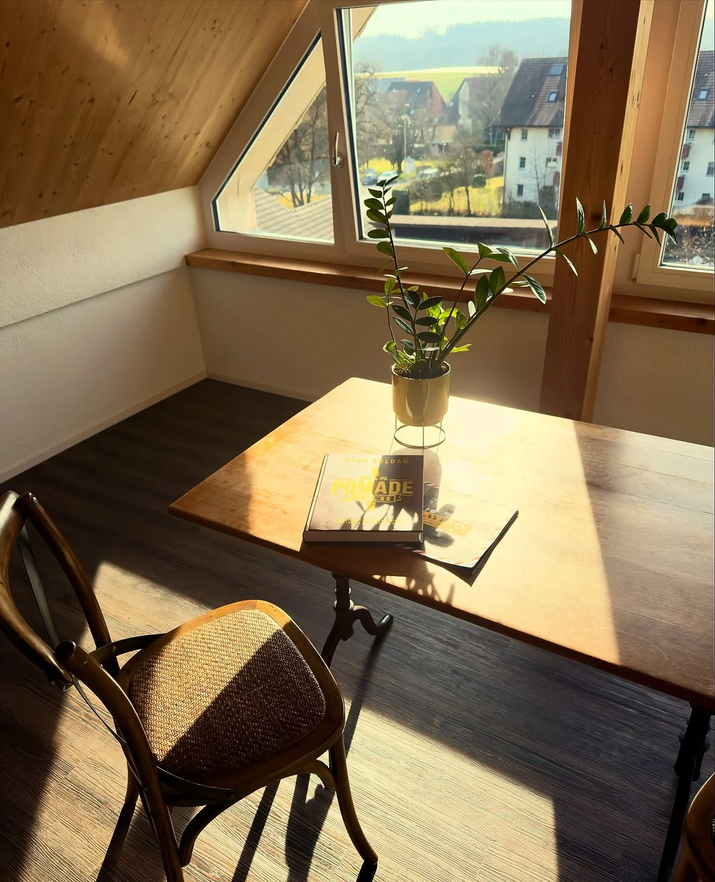 Blick über die Dächer von Fehraltorf